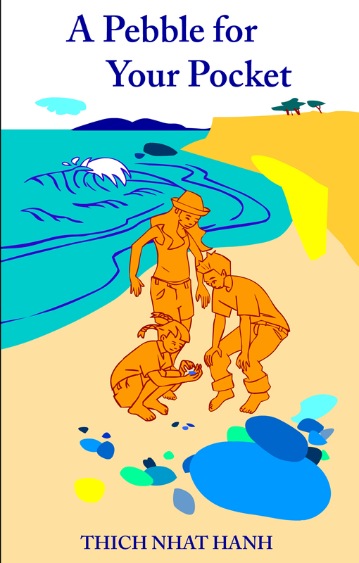 "A PEBBLE FOR YOUR POCKET" - book cover illustration