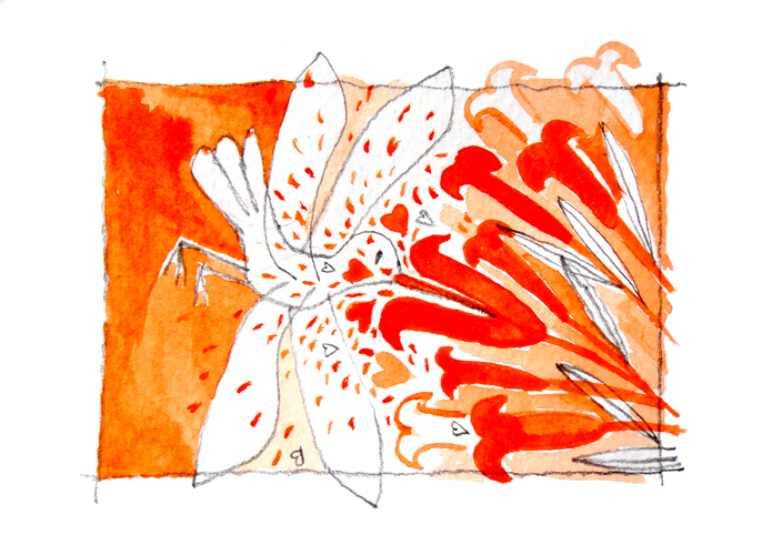 "HUMMINGBIRD" - pour exposition